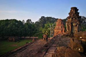 Rolous Temple Group,